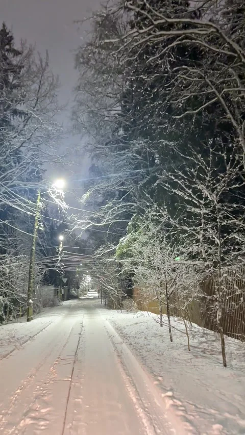 View at snowy night road in rural area with private houses in winter. Fir trees  Stock Footage 326354510
