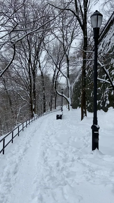 View of a snowy path in a park in New York City Stock Footage 221369542