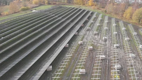 View of Solar Cells, Rows on a Field, Energy Installation Concept, Aerial View Stock Footage 147388514