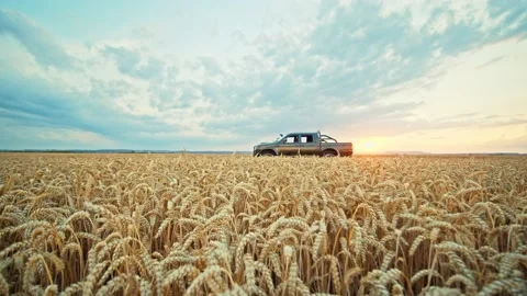 View of a soldier getting out of the car near in a wheat field, dressed in Stock Footage 232875288