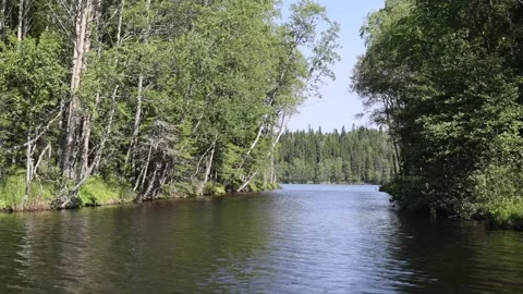 View of the Solovetsky Islands forest canal, Russia. Stock Footage 343676916