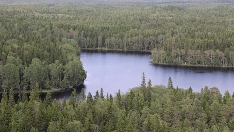 View of Solovetsky Islands lake in Russia. Video stock 343677087