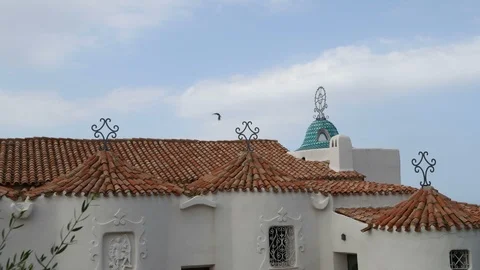 A view of some birds flying from a turquoise roof to a dome in a sunny day. 库存影片 109229293