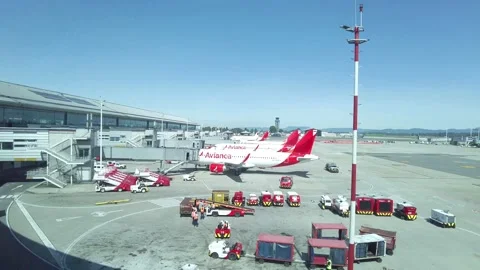 View of some cargo or passenger airplanes from avianca airlines waiting Stock Footage 167855944