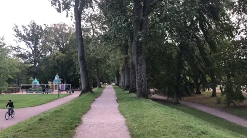 View of someone walking in the park in windy weather Stockbeeldmateriaal 140981073