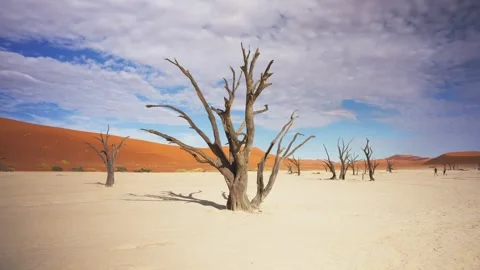 View of Sossusvlei with dead trees in the desert, Namibia. Stock Footage 339917617