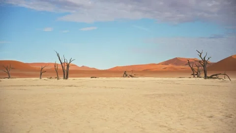 View of Sossusvlei desert landscape with dead trees, Namibia. Stock Footage 339917557
