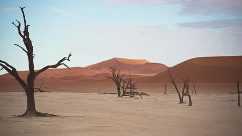 View of Sossusvlei desert landscape with dead trees, Namibia. Stock Footage 339917571