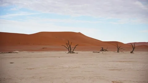 View of Sossusvlei in the Namib Desert, Namibia. Stock Footage 339917549