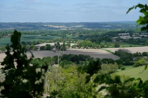 A view of the South Downs from Harting Down Stock Photos