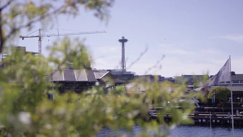 View of the Space Needle from Seattle harbor Stock Footage 113485042
