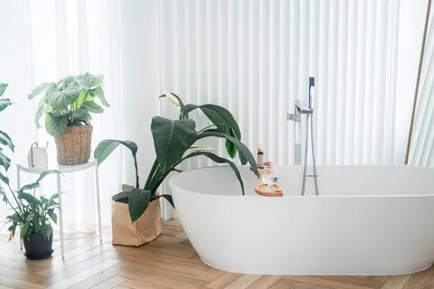 View of a spacious and elegant bathroom Stock Photos