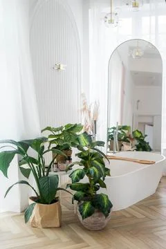 View of a spacious and elegant bathroom Stock Photos
