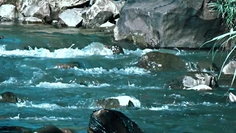 View of splashing water in a shallow river Stock Footage 304471184