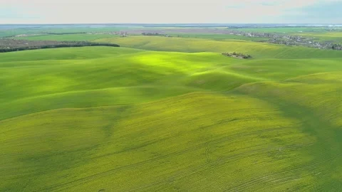 View of spring fields with rapeseed and wheat. Sunbeams. Video stock 130392376
