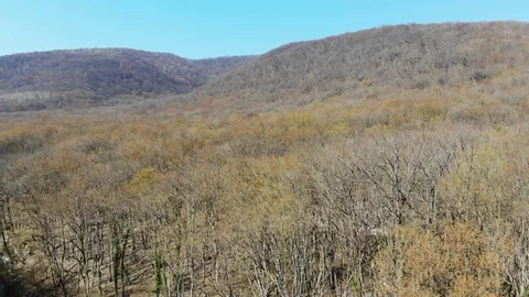 View of the spring forest. Spring forest from above. Spring in the mountains. Stock Footage 124756326