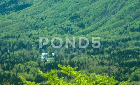 View on spring forest valley Stock Photos