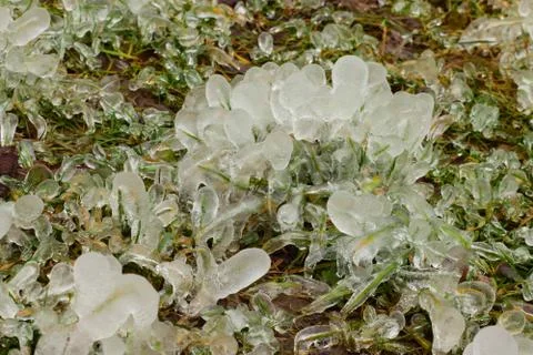 View on spring icy grass Stock Photos