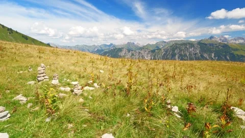 View of a spring meadow in the Bavarian Alps in Oberstdorf Stock Footage 280981444