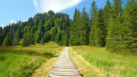 View of a spring moor meadow in the Bavarian mountains (in Oberstdorf) Stock Footage 280040447