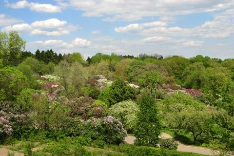 View of the spring park from above 库存照片