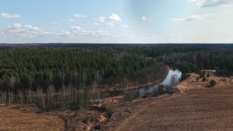 View of a spring river and forest, the camera slowly moves in the sky Stock Footage 305371434