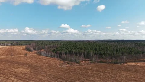 View of a spring river and forest, the camera slowly moves in the sky Stock Footage 305371439