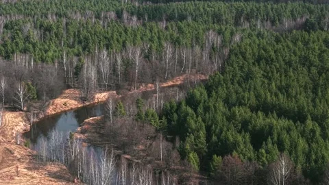 View of a spring river and forest, the camera slowly moves in the sky Stock Footage 305371452