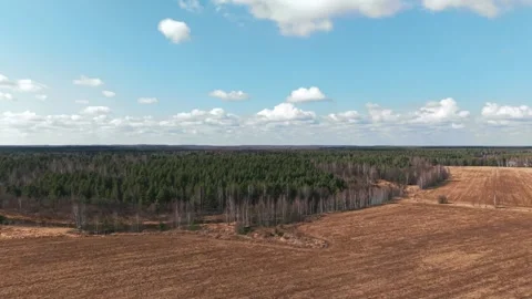 View of a spring river and forest, the camera slowly moves in the sky Stock Footage 305371459