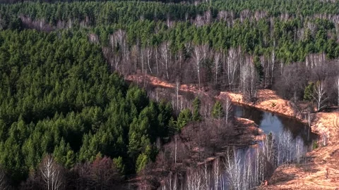View of a spring river and forest, the camera slowly moves in the sky 動画素材 305371473