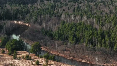 View of a spring river and forest, the camera slowly moves in the sky 動画素材 305371477