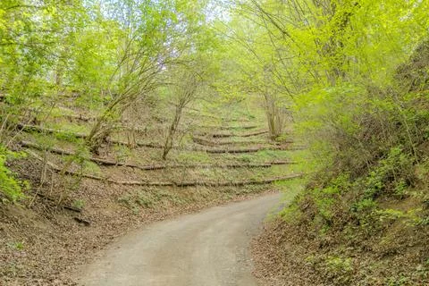 View from the spring road on the top of the hill surounded by forest in Czech Stock Photos