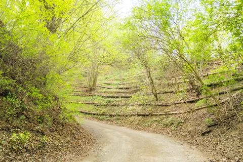 View from the spring road on the top of the hill surounded by forest in Czech Stock Photos