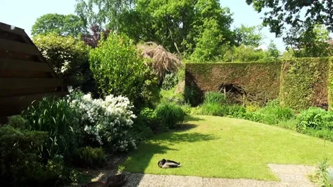 View on the springgarden.  Stock Footage 150167469