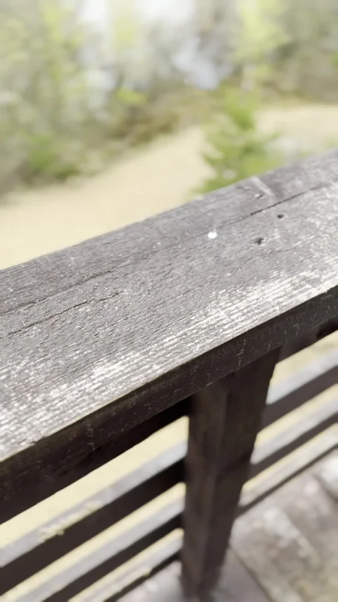 View of a Springtime Marsh Landscape from a Wooden Platform Stock Footage 282579087