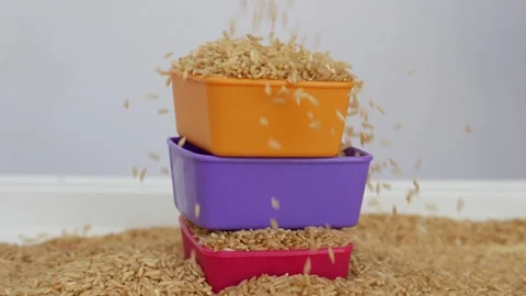 View of sprinkling brown rice over plastic bowls filled with brown rice Video stock 147689726