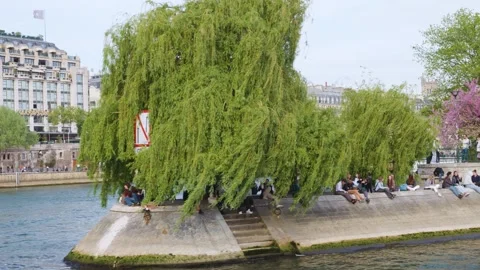 View of the Square du Vert-Galant on the Isle of Cite. Stock Footage 308727294