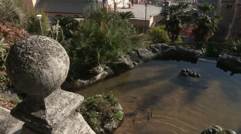 View of square  Matteotti and auditorium S. Francesco from the botanical garden Stock Footage 56827544