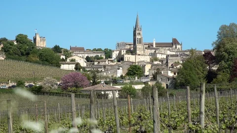 View of St Emilion village Stock-Footage 87492290