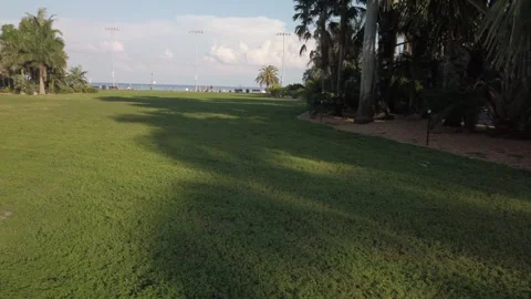 View from St. Pete Park Towards Tampa Bay. Stock Footage 250657243