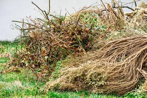 View of a stack of dry cut branches of trees and bushes on the grass in sprin Stock Photos
