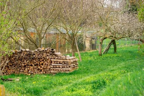 View of stacked firewood in the backyard. Preparing firewood for the next s.. Foto stock