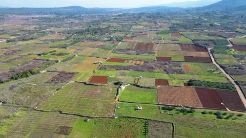 View of Stari Grad Plain Hvar Island in Croatia Stock Footage 264274678