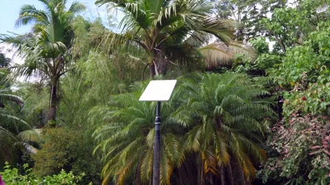 View of Starlink receiving dish ata remote tropical location on Hawaii. Stock Footage 247970738