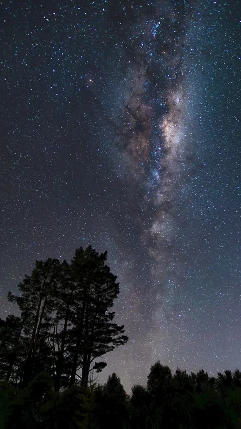 View of the starry night sky over Rotorua, New Zealand. Video stock 343684526