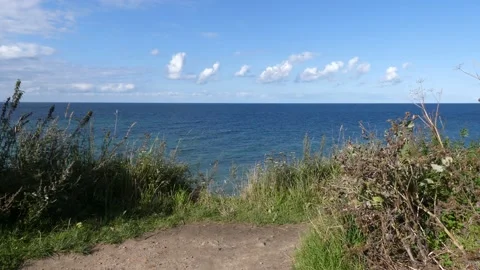View from steep coast to ocean, blue sky - bushes, sand, grass in foreground Stock Footage 139143091