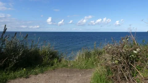 View from steep coast to ocean, cloudy sky - bushes, sand, grass in foreground Stock Footage 139221595
