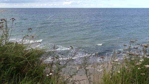 View from the steep coast to the ocean - flowers and grass in the foreground Vidéo 139145509