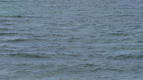 View from steep coast to ocean - seagull - water template, texture, pattern Stock Footage 139250765