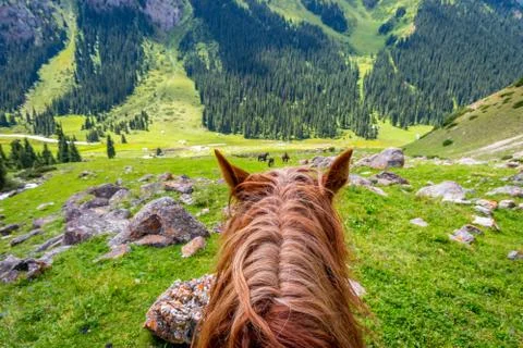 View to steep path from the horse back, Kyrgyzstan Stock Photos